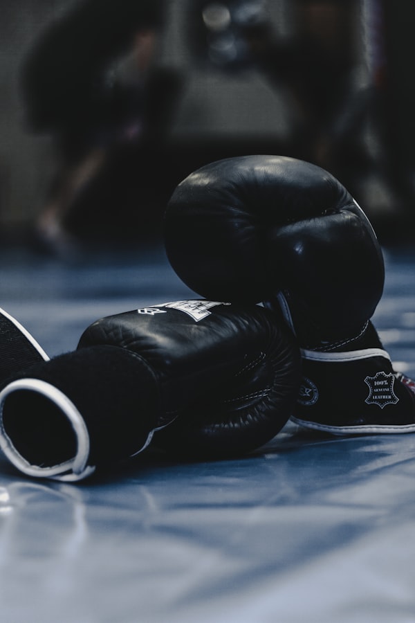 PRO BOXING GLOVES 120Z